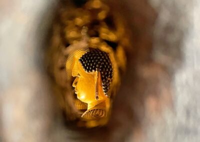 srilankareisen-ch-rundreisen-natur-kultur-dambulla-srilanka
